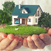 Home & Garden